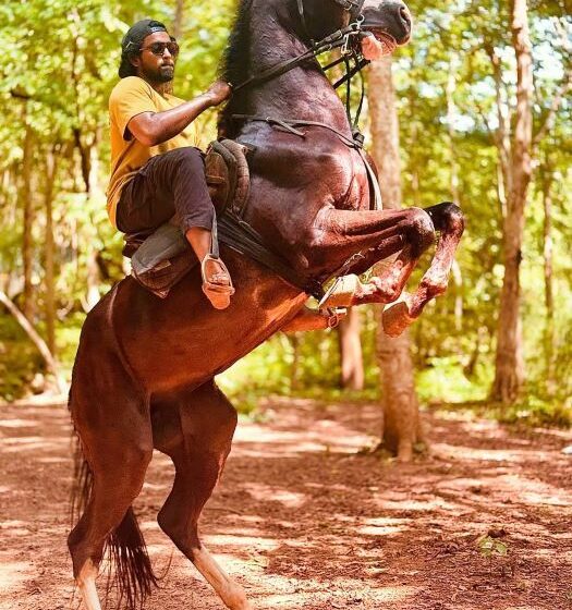 Mowgli – 15 days Climax Action Schedule Completed
