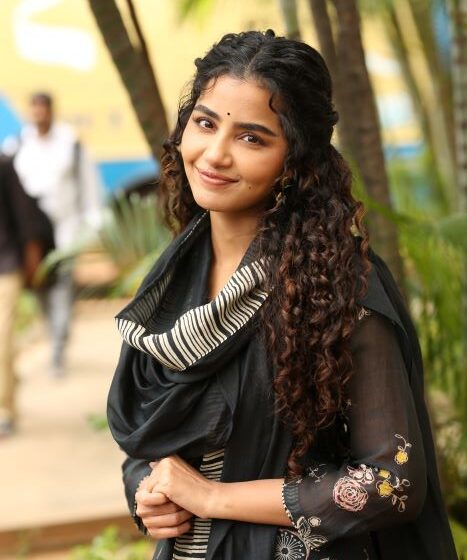 పరదా లో ఛాలెంజింగ్ క్యారెక్టర్ చేశాను – అనుపమ పరమేశ్వరన్