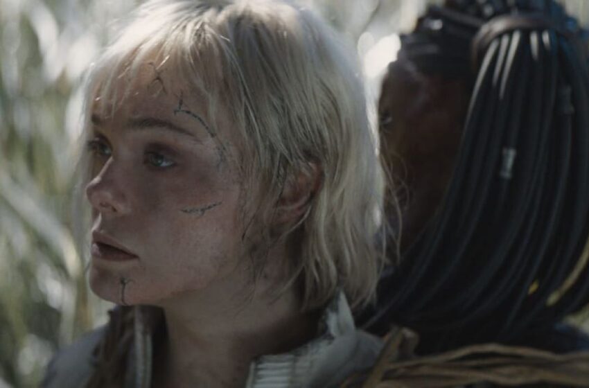 Hail Predator: Badlands as an Indian Masala Entertainer