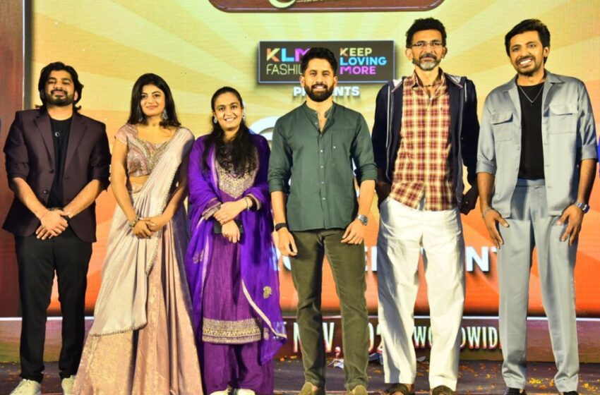  ప్రేమంటే సినిమా పెద్ద హిట్ అవ్వాలని కోరుకుంటున్నాను – నాగ చైతన్య