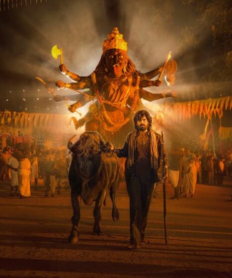 Maremma Shooting Completed