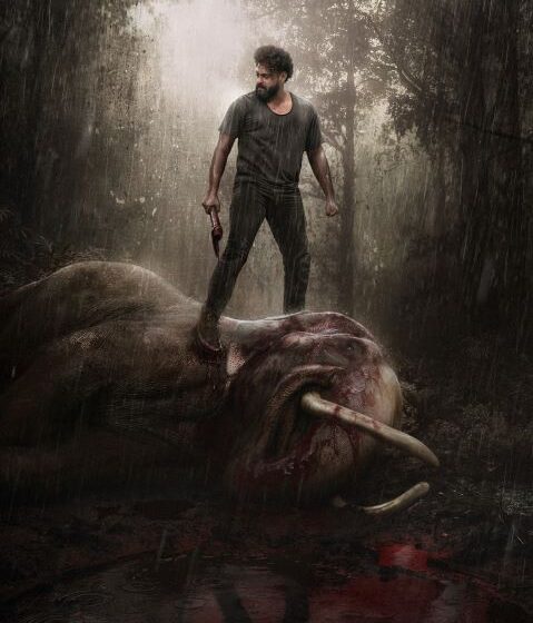  Katalaan Second Look Unveiled