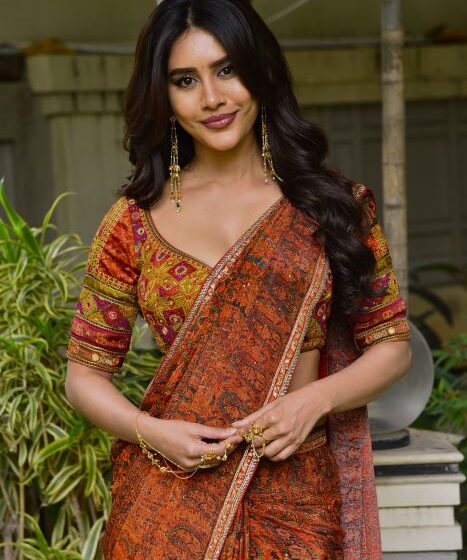  నాగబంధంలో ఇప్పటివరకూ చేయని స్ట్రాంగ్ క్యారెక్టర్ చేశాను – హీరోయిన్ నభా నటేష్