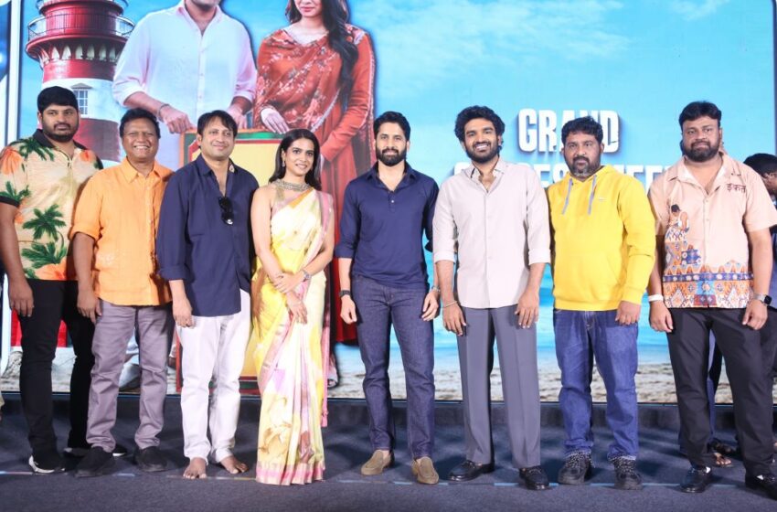  Chennai Love Story Records Amazing Collections -Naga Chaitanya at the Grand Success Meet